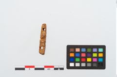 Foto von Bernsteinschieber (NHMW-PRAE-024561)
